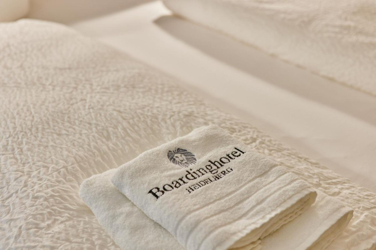 Boardinghotel Premium Heidelberg — photo 5